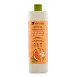 laSaponaria Duschgel und Shampoo 2in1 mit Bio-Orange und Vitamin C für die ganze Familie 500 ml - mit süßem und belebendem Duft
