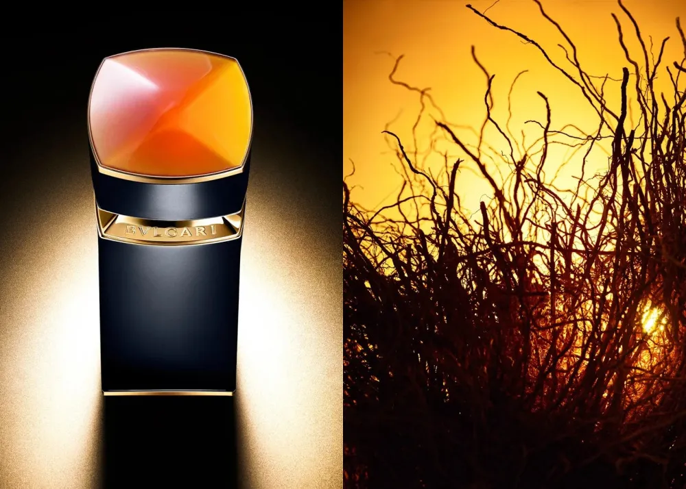 Le Gemme Ambero Eau de Parfum für Herren 100 ml
