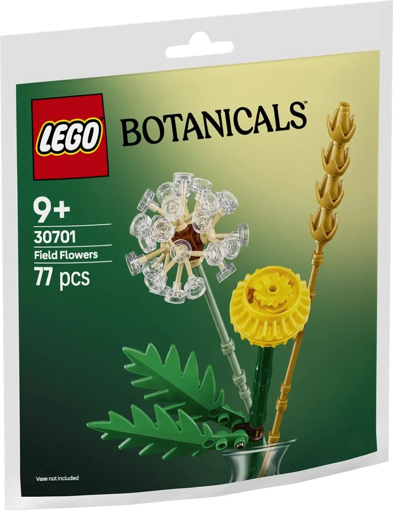 30701 Wiesenblumen