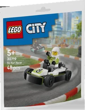 LEGO® 30719 Rennfahrer im Gokart