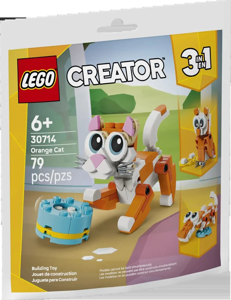 30714 Orangefarbene Katze