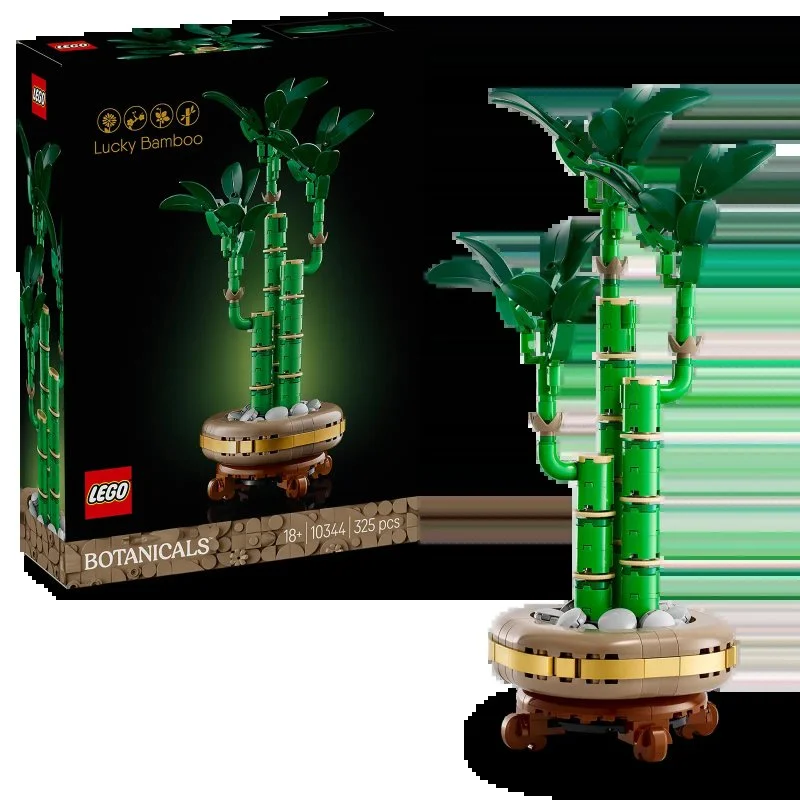 Botanicals 10344 Glücksbambus