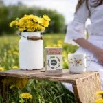 LEROS Kräutertee Kräuter-Detox – Aufgussbeutel (20 x 1,5 g) – zur Reinigung des Organismus