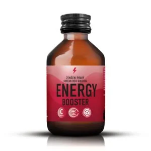 LEROS Healthy booster Energy Shot (100 ml) – unterstützt Konzentration und Leistungsfähigkeit