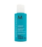 Hydratisierendes Shampoo feuchtigkeitsspendendes Shampoo 70 ml