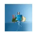 Voyage Eau de Toilette für Männer 100 ml