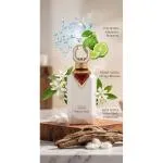 Noble Cedar Parfümextrakt Unisex 100 ml