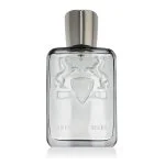 Castley Eau de Parfum für Herren 125 ml