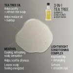 3-in-1 Tea Tree Shampoo-Spülung-Duschgel Herrenshampoo 3-in-1 für Herren 350 ml
