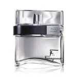F by Ferragamo Black Eau de Toilette für Herren 100 ml