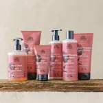 Urtekram Wildrosen-Shampoo 500ml BIO