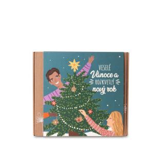 Samenbomben - Medium Geschenk-Set - Frohe Weihnachten (9 Stück)