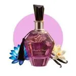 Shagaf Al Ward Gardenia W Eau de Parfum 100 ml