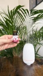 Taoasis Baldini Aroma-Set All the Love BIO (5 ml) – harmonisierender Duft mit Steindiffusor