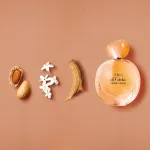 Terra di Gioia Eau de Parfum für Damen 50 ml