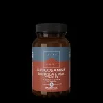 Terranova Health Glucosamin, Boswellia & MSM Komplex (50 Kapseln) - unterstützt die Gelenkgesundheit