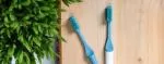 TIO Zahnbürste (ultraweich) - gletscherblau - aus Pflanzen hergestellt