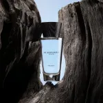 Touch for Men Eau de Toilette für Herren 100 ml