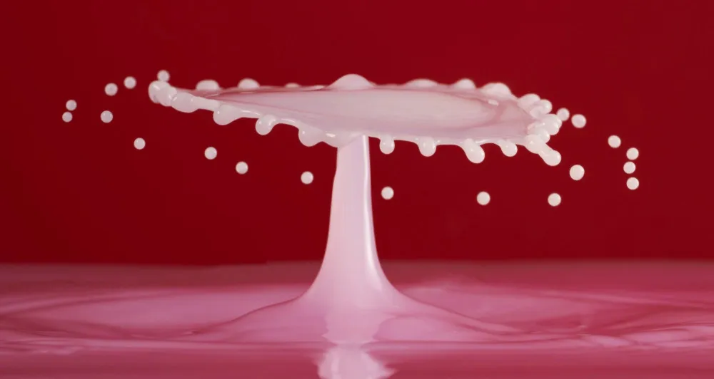 Uoga Uoga Regenerierender Sprüh-Conditioner mit Cranberry und Bio-Protein (100 ml) - für leichte Kämmbarkeit und Glanz