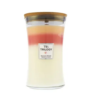 WoodWick Trilogy Blooming Orchard Duftkerze mit Holzdocht 609 g