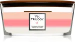 Trilogy Blooming Orchard Duftkerze mit Holzdocht 453,6 g