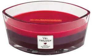 WoodWick Trilogy Sun Ripened Berries Duftkerze mit Holzdocht 453,6 g