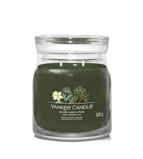 Silver Sage & Pine Signature-Kerze mittel 368 g