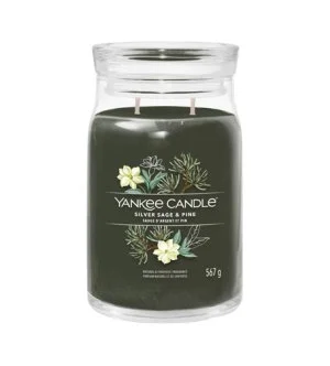 Yankee Candle Silver Sage & Pine Signature-Kerze groß 567 g