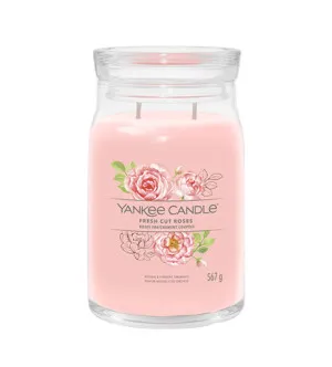Yankee Candle Fresh Cut Roses Signature Kerze groß 567 g