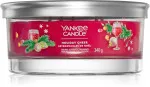 Holiday Cheer Signature Tumbler 5 Dochte 340 g