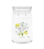 Midnight Jasmine Signature Kerze groß 567 g