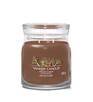 Yankee Candle Praline & Birch Signature Kerze mittel 368 g