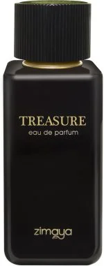 Treasure EXP U 100 ml