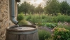 # Warum ist Regenwasser die bessere Wahl für den Garten