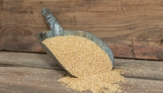 Gesundheit und Ökologie gehen Hand in Hand mit Sorghum