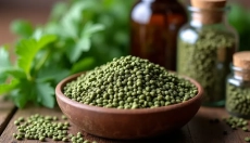 Wie man Brennnesselsamen richtig für Ihre Gesundheit verwendet