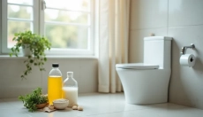 WC-Steine sind ein Problem, das Sie leicht lösen können.