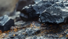 Entdecken Sie die Kraft von Mumijo für Gesundheit und Regeneration