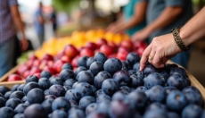 Omas bester Pflaumenkompott, den Sie lieben werden